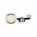 iPhone 6S Home Button Flex Cable - All